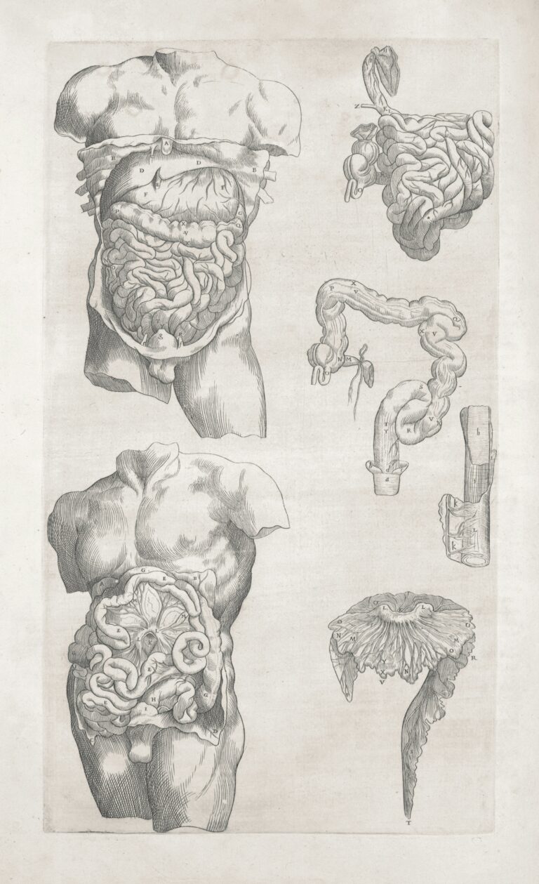 SIGNS YOUR PANCREAS IS IN TROUBLE